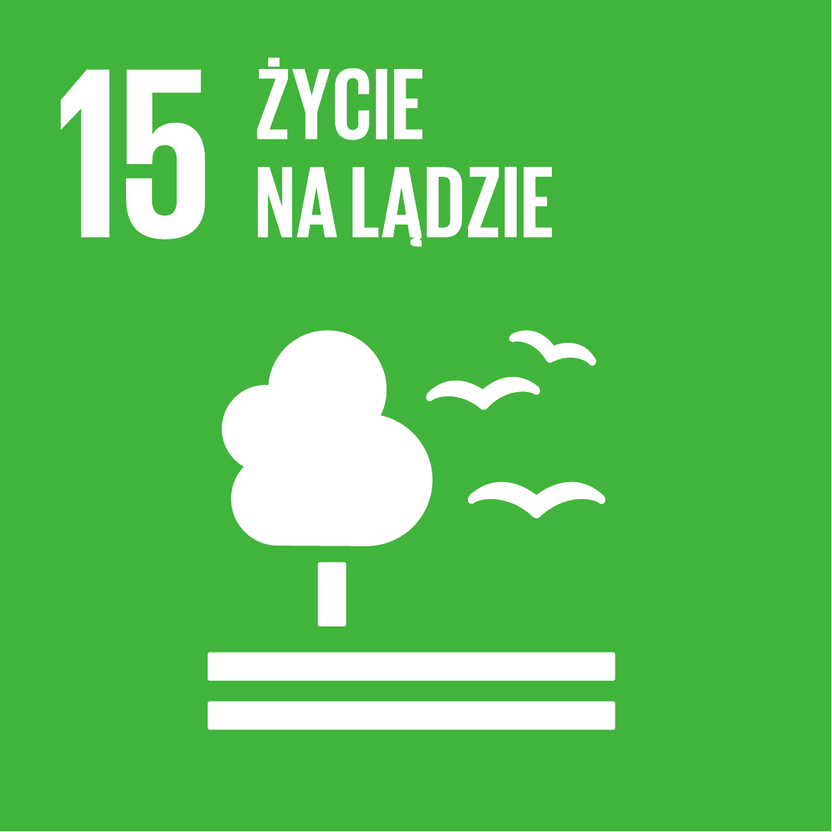 Cel 15: Życie na lądzie