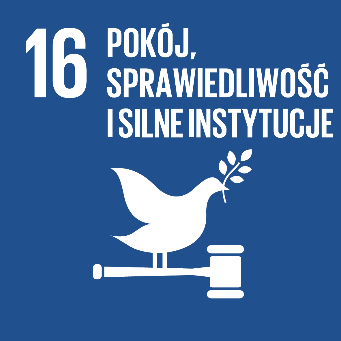 Cel 16: Pokój, sprawiedliwość i silne instytucje
