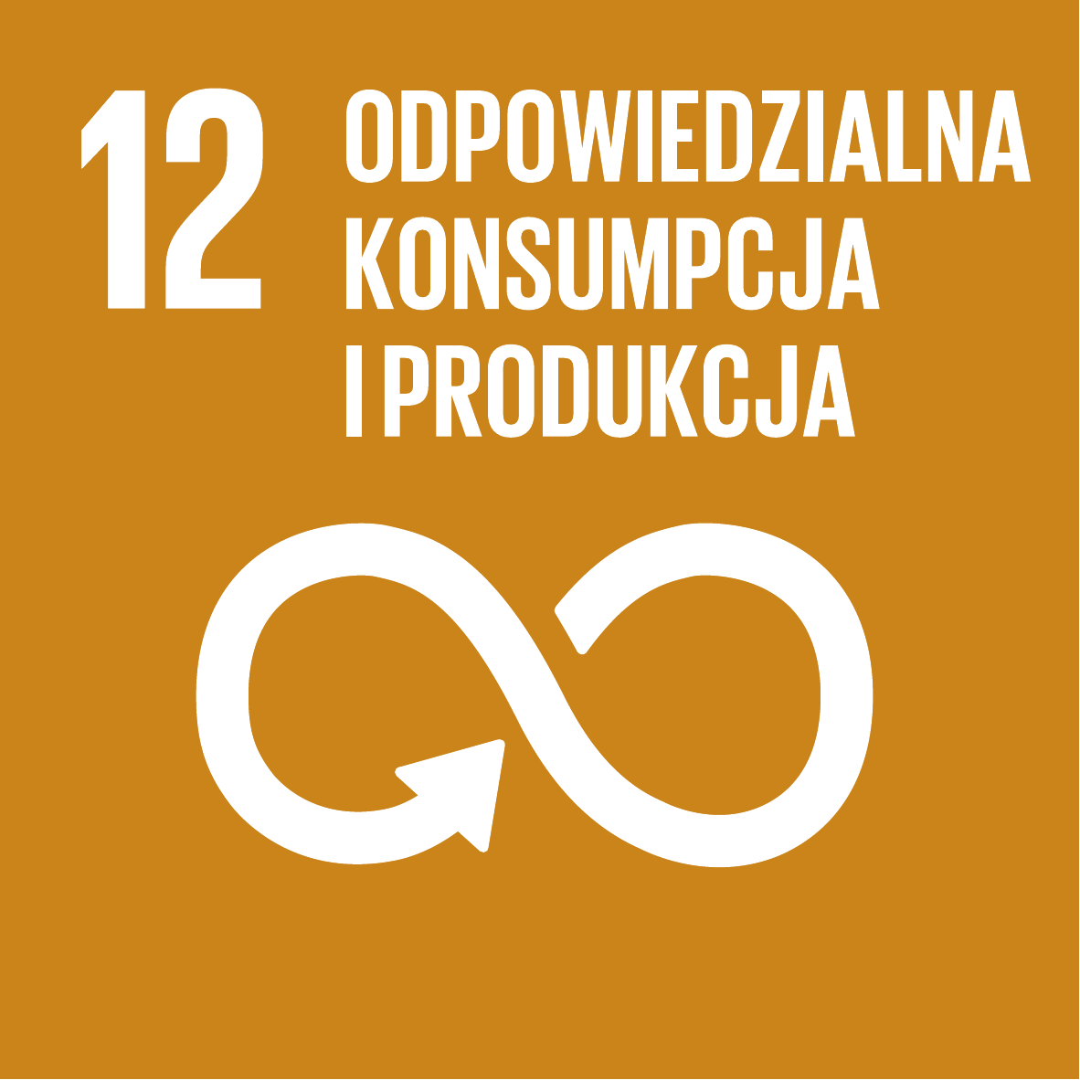 Cel 12: Odpowiedzialna konsumpcja i produkcja