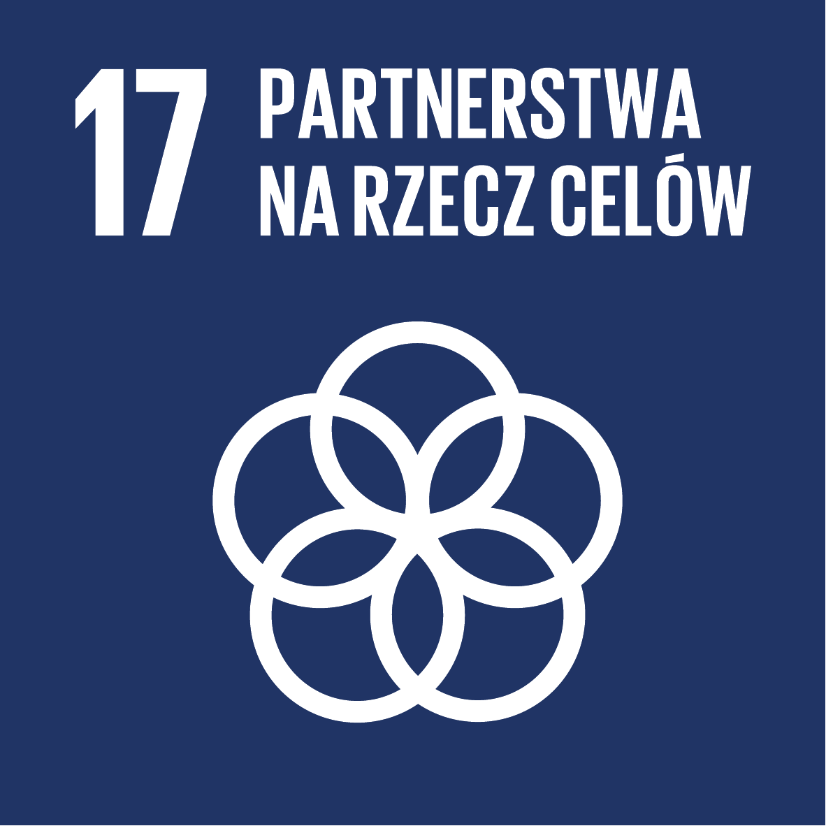 Cel 17: Partnerstwa na rzecz celów